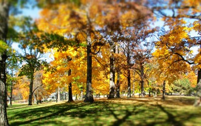 Park Land Zoning