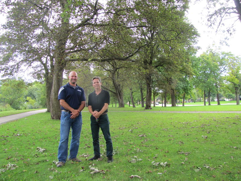 How Healthy Is Milwaukee’s Urban Canopy?